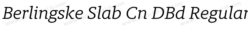 Berlingske Slab Cn DBd Regular字体转换